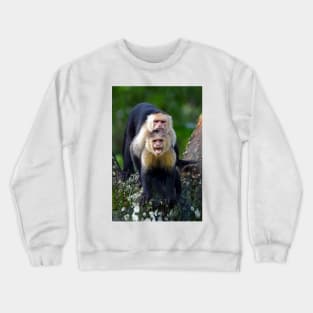 Capuchin Monkey Photobomb - Costa Rica Crewneck Sweatshirt